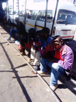 Reptilians and a Guy with the day&nbsp;off