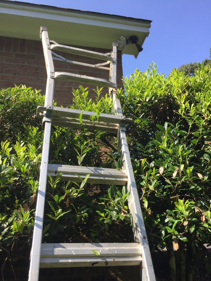 The Ladder – Transit Transients and Other Stories