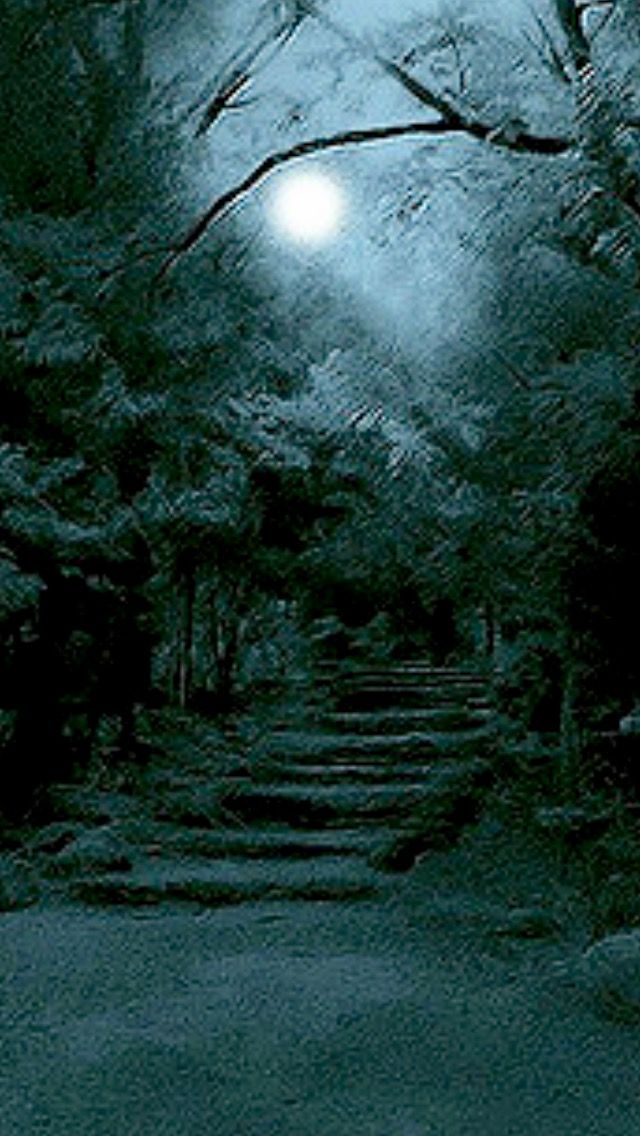 Cedar, Sea, Leaves,&nbsp;Moon