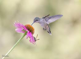 Being Above and&nbsp;Inside